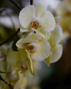 Image 76